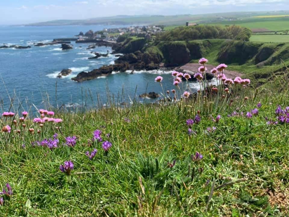 Relax In A 1 Bedroom Apartment Near A Country Pub Eyemouth Exterior foto